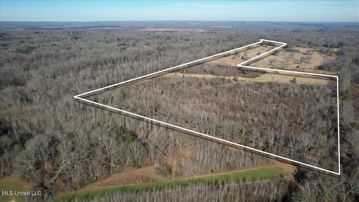 0 Chichester Road Edwards, MS 39066 - Photo 3 of 14 3-Lot line 3
