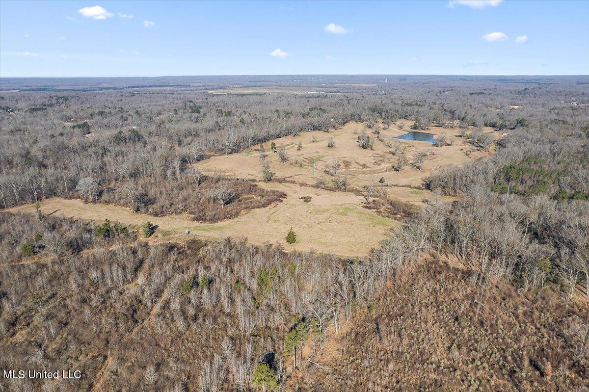 0 Chichester Road Edwards, MS 39066 - Photo 5 of 14 4-DJI_0887