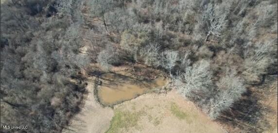 0 Chichester Road Edwards, MS 39066 - Photo 7 of 14 Pond Shot