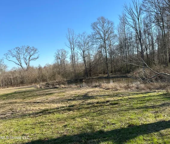 $339,000 | 0 Chichester Road, Edwards, MS 39066