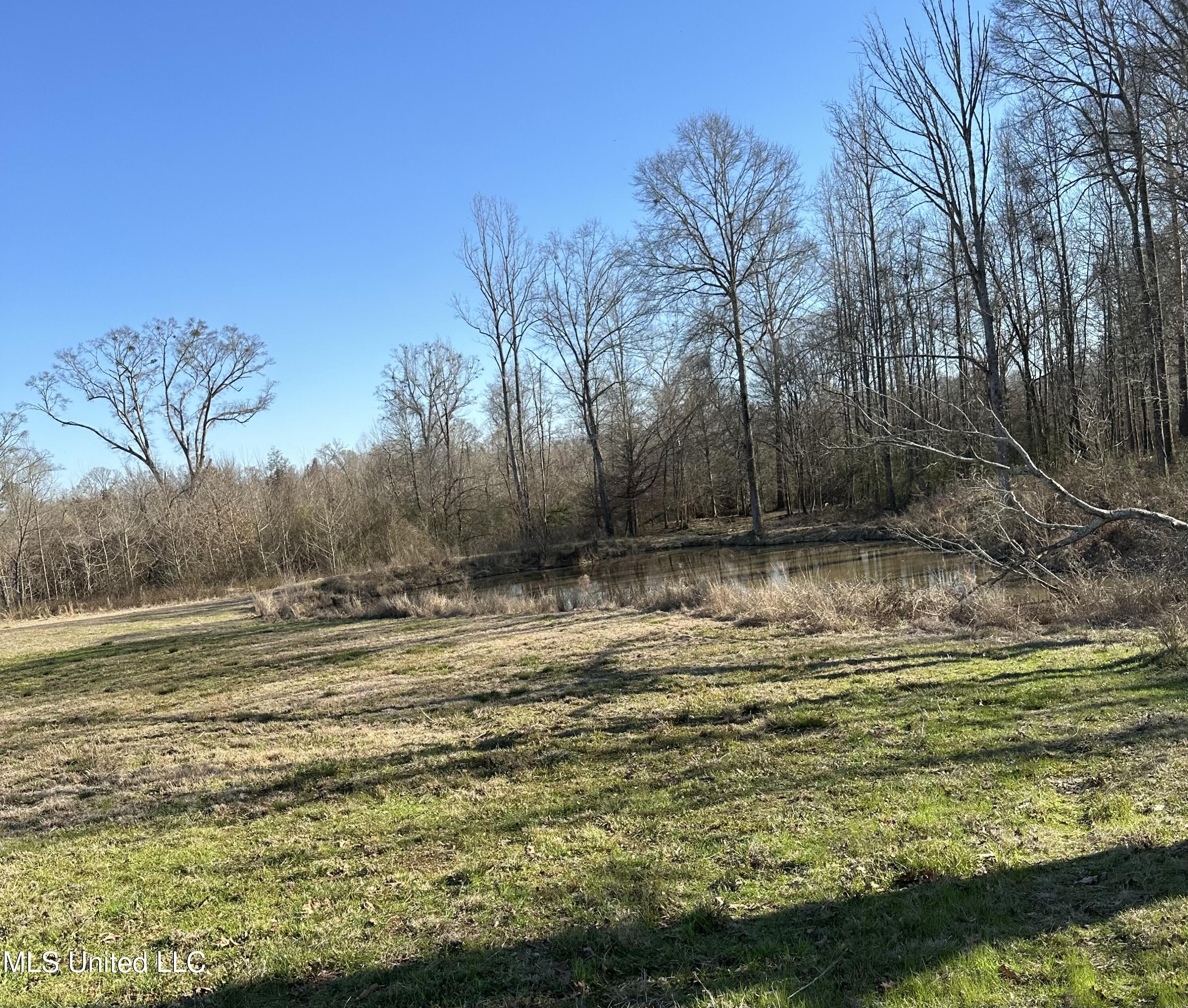 0 Chichester Road Edwards, MS 39066 - Photo 8 of 14 4