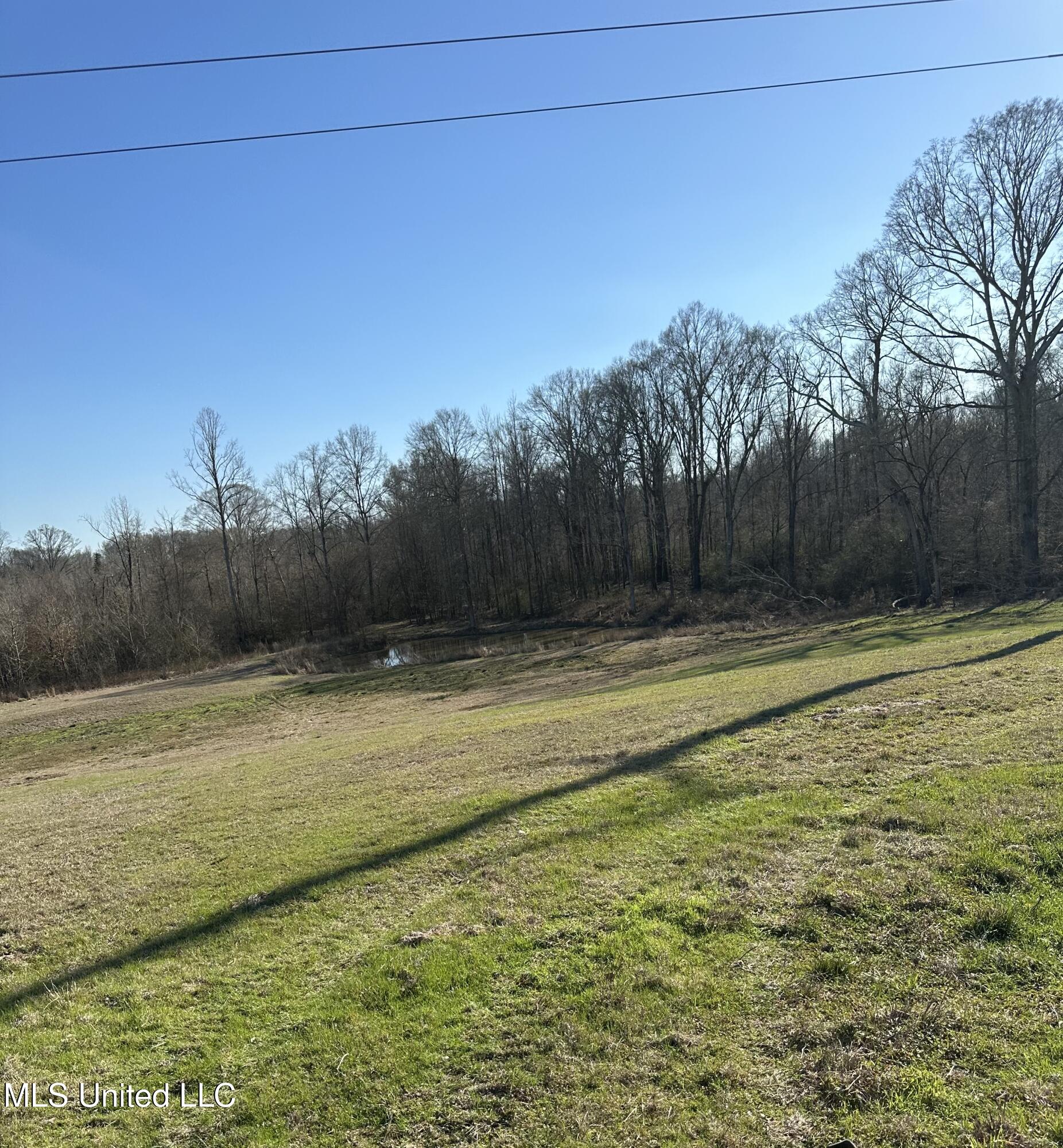 0 Chichester Road Edwards, MS 39066 - Photo 9 of 14 7