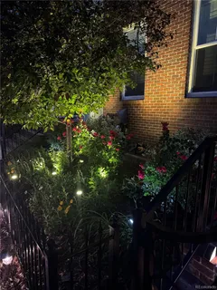 a view of flowers in back yard of a house