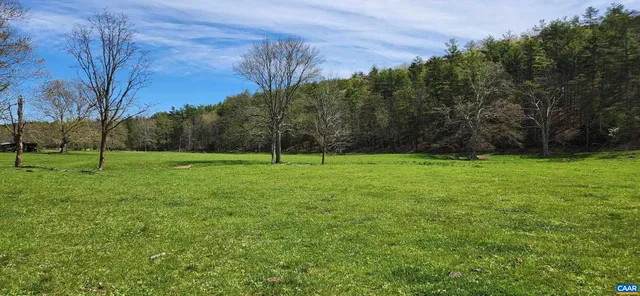 a view of a park with large trees