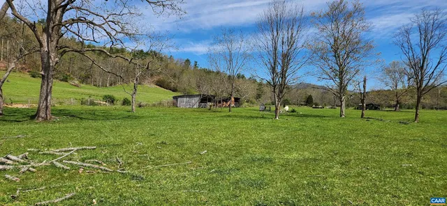 a view of a park with large trees