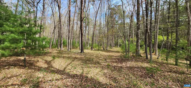 a view of outdoor space with trees
