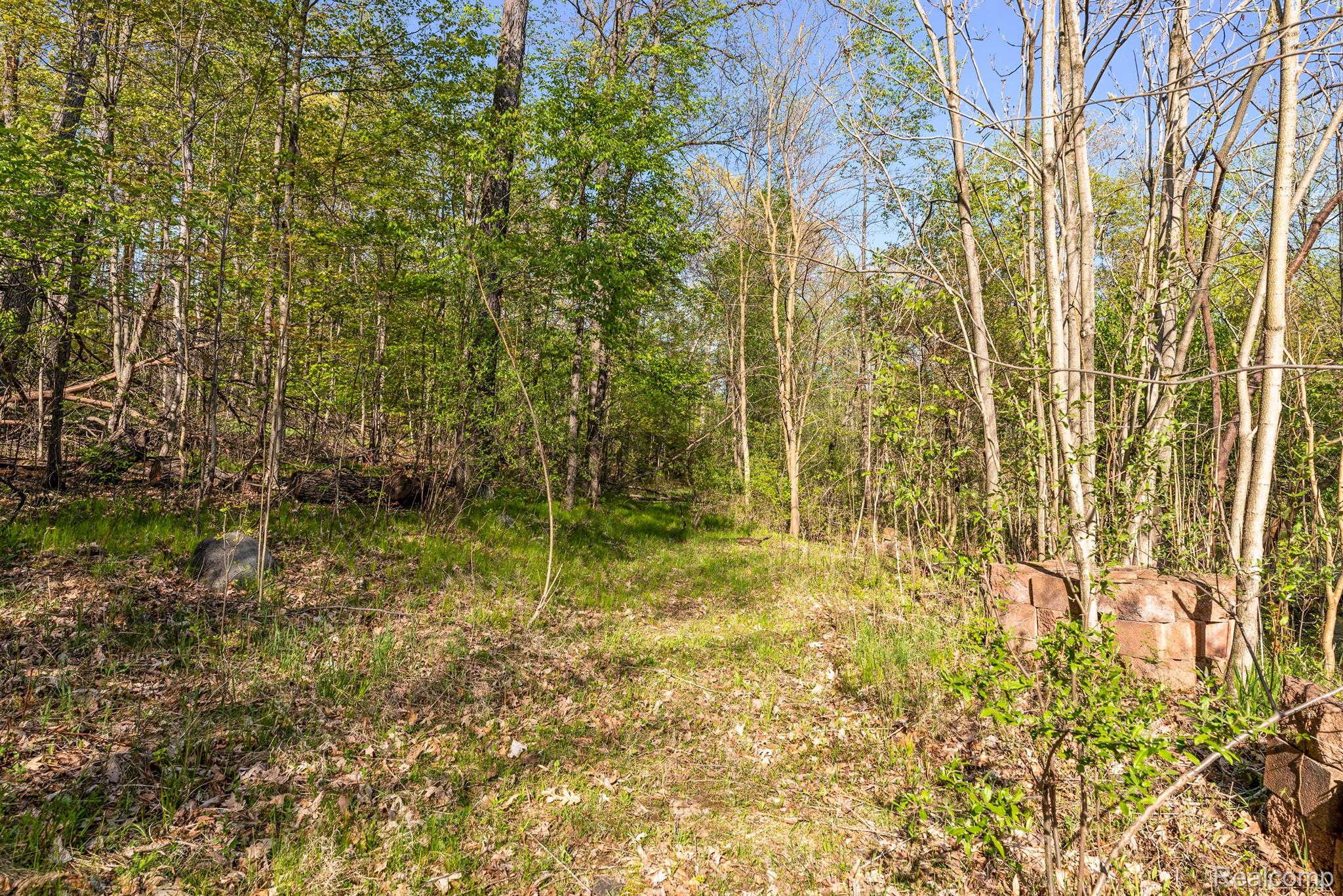 4975 Diehl Road Metamora, MI 48455 - Photo 57 of 65