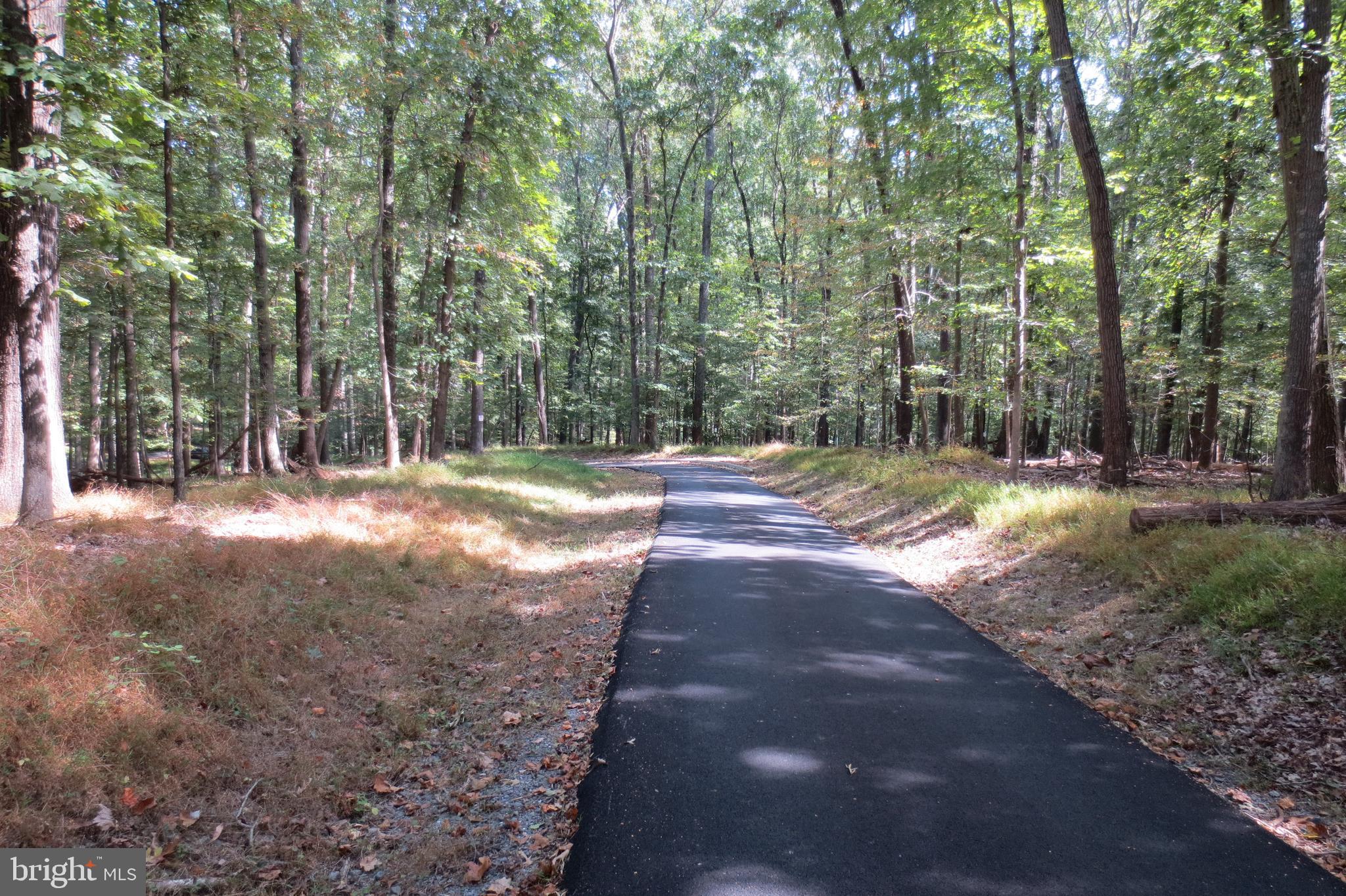 14701 Poplar Hill Road Germantown, MD 20874 - Photo 12 of 108 Access Driveway