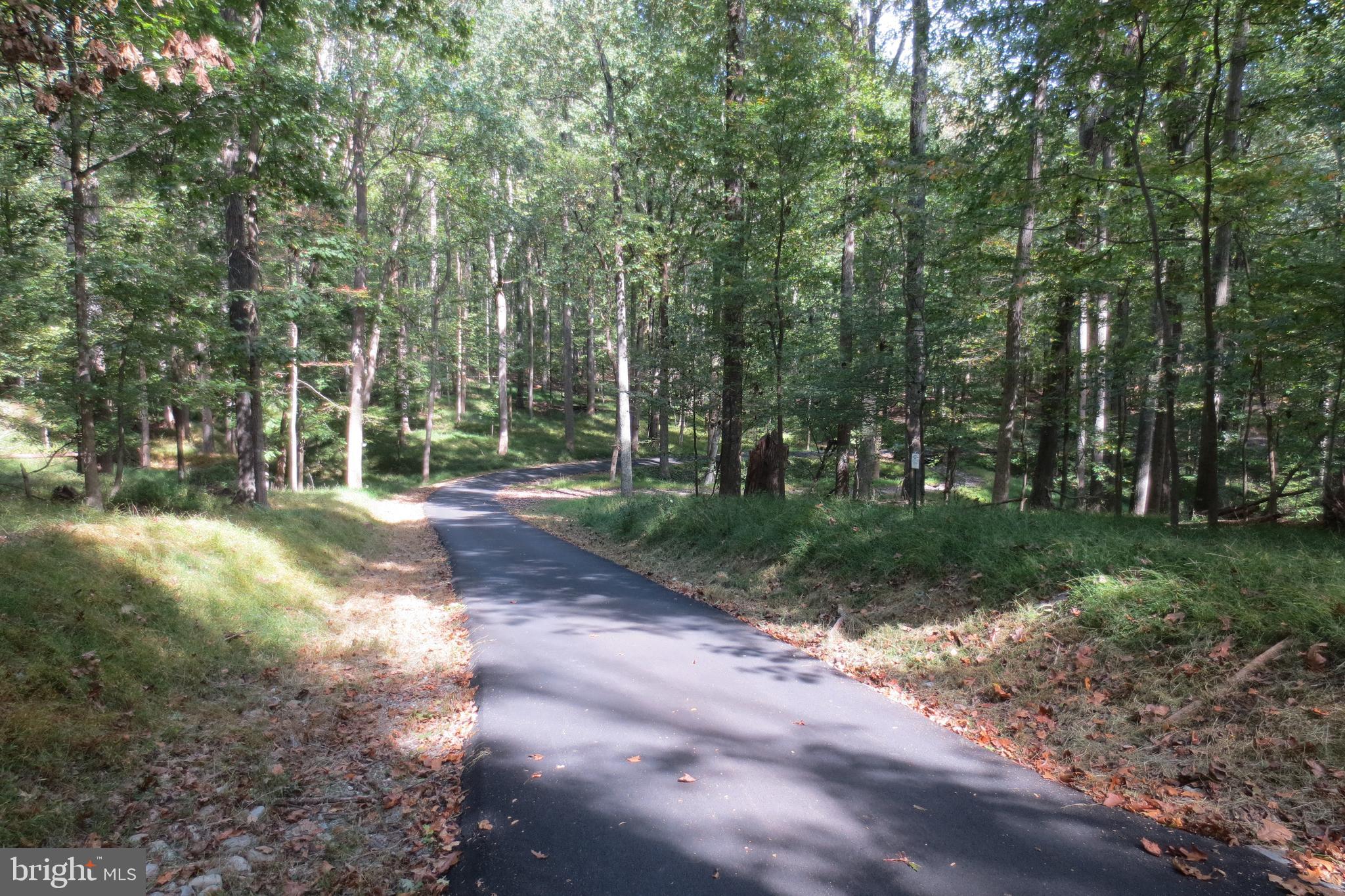 14701 Poplar Hill Road Germantown, MD 20874 - Photo 13 of 108 View of Access Driveway