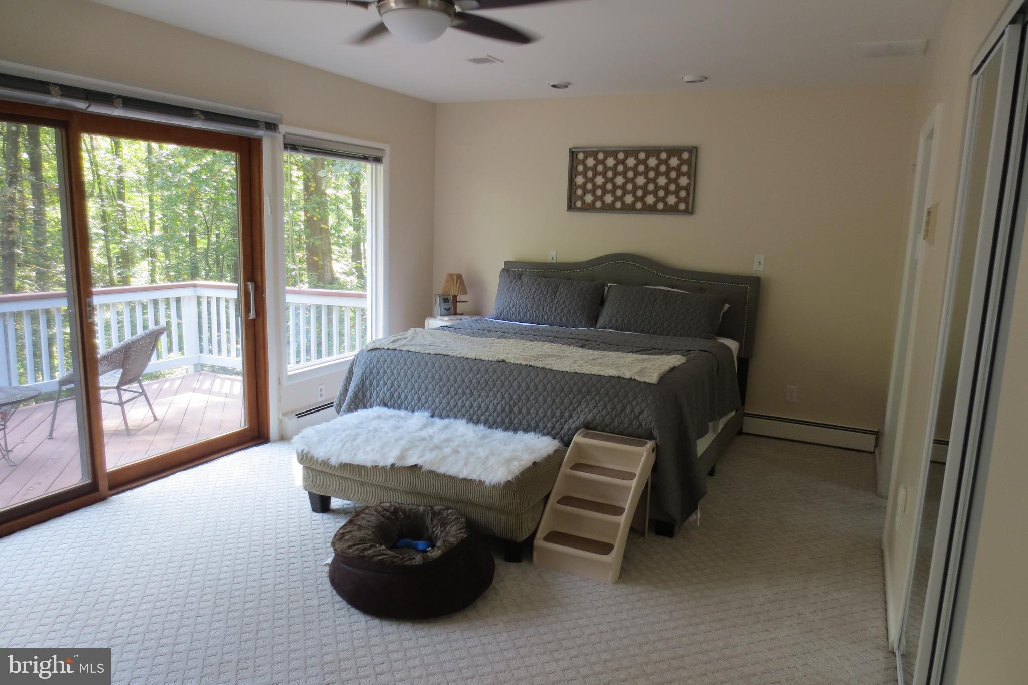 14701 Poplar Hill Road Germantown, MD 20874 - Photo 44 of 108 View Master Room