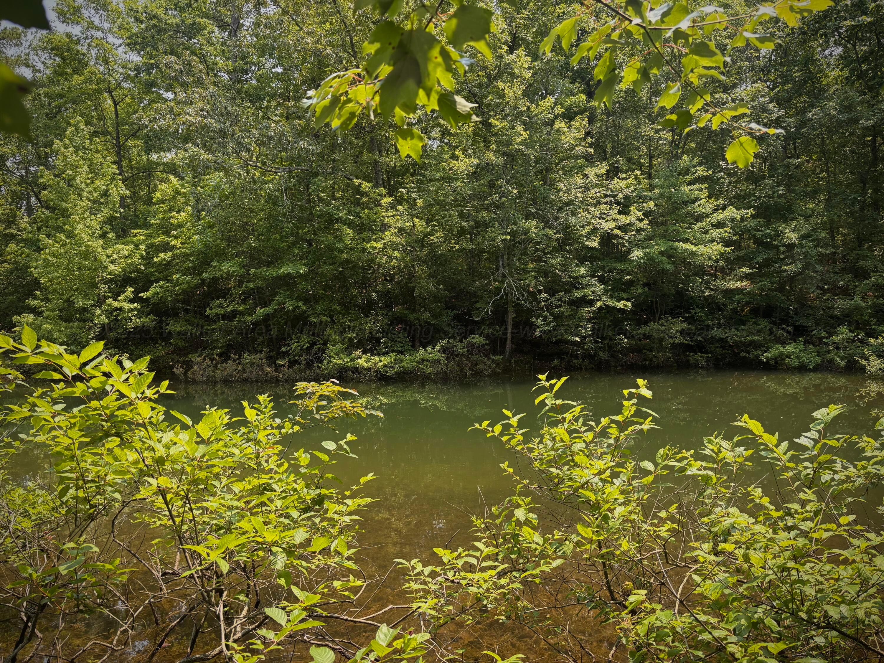 Lot 31 Stoney Point Road Double Springs, AL 35553 - Photo 19 of 22 image7