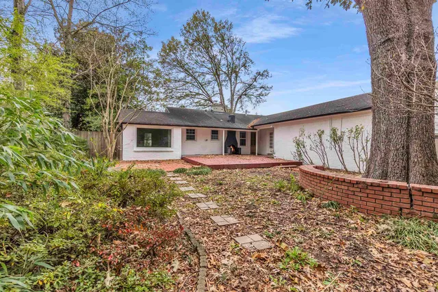 a view of a yard with plants and trees