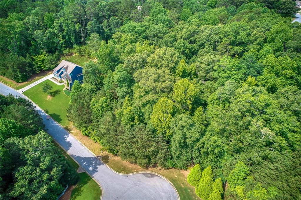 287 Columbia Cove Dallas, GA 30132 - Photo 4 of 10