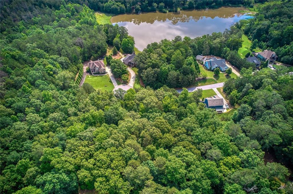 287 Columbia Cove Dallas, GA 30132 - Photo 6 of 10