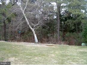 33 Ashley Road, Unit 63 Manchester Township, NJ 08759 - Photo 2 of 7