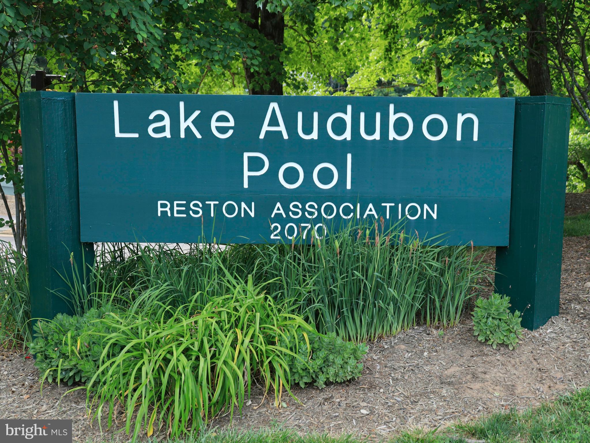 11037 Solaridge Drive Reston, VA 20191 - Photo 36 of 45 Pool abuts the lake