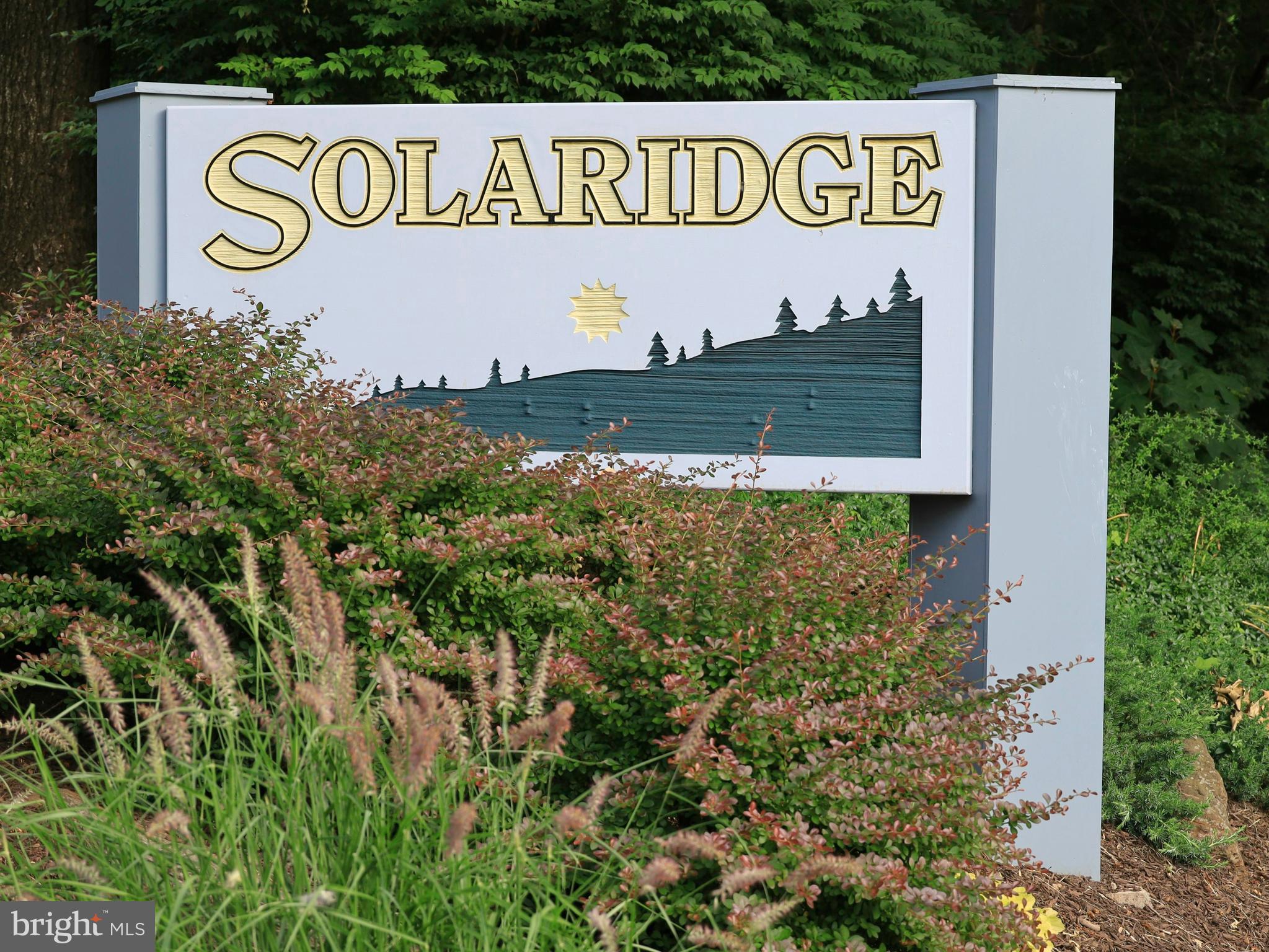 11037 Solaridge Drive Reston, VA 20191 - Photo 39 of 45 Entrance to Solaridge Cluster