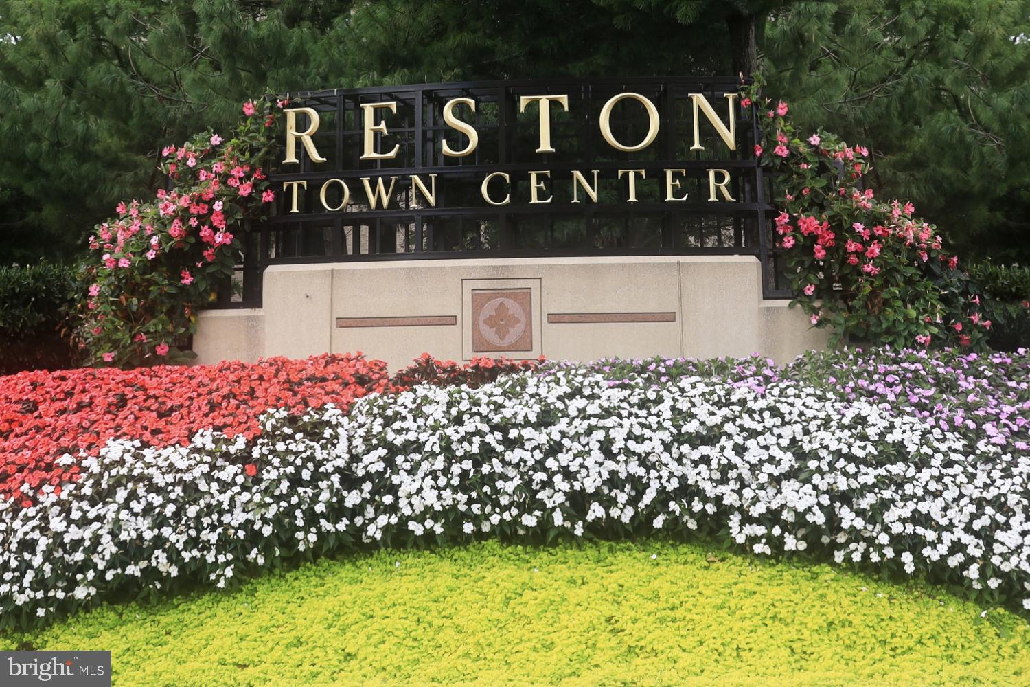 11037 Solaridge Drive Reston, VA 20191 - Photo 41 of 45 Reston Town Center