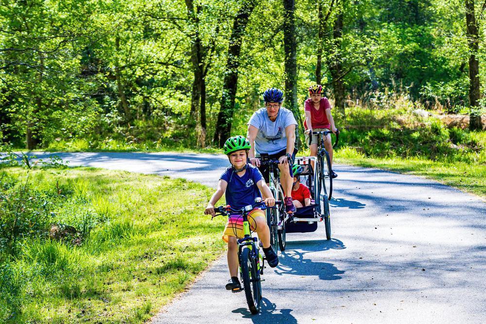 5400 Emerson Drive Raleigh, NC 27609 - Photo 23 of 23 Photo #23
