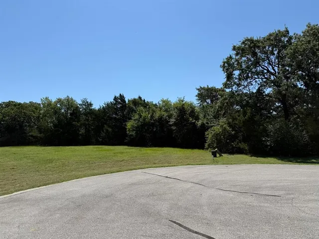 a view of a field with trees in background