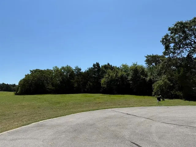 a view of a field with trees in the background