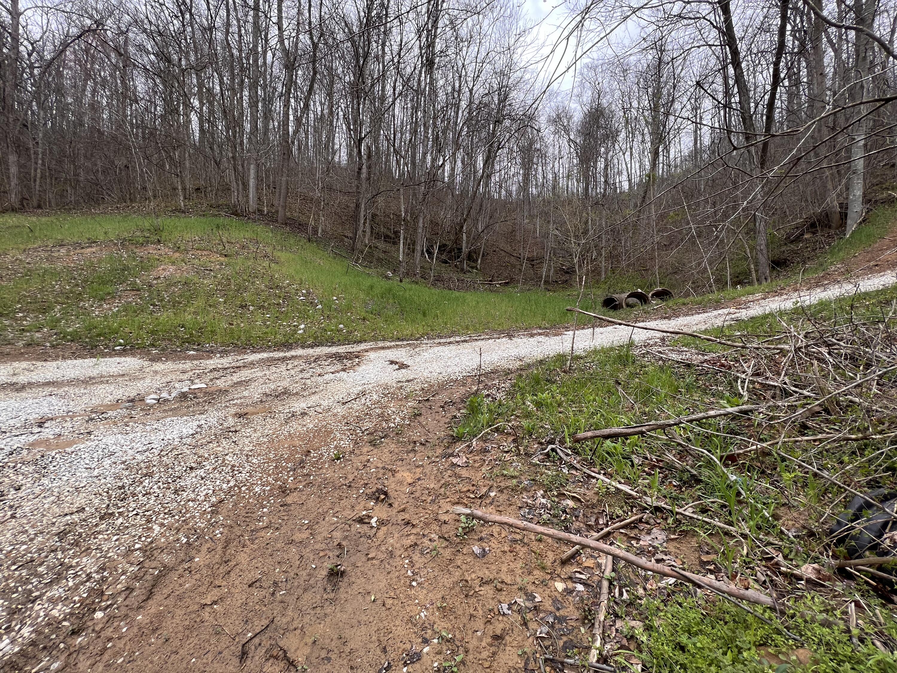 858 Little Lick Fork Road East Point, KY 41216 - Photo 68 of 74 Photo Apr 14, 11 50 00 AM