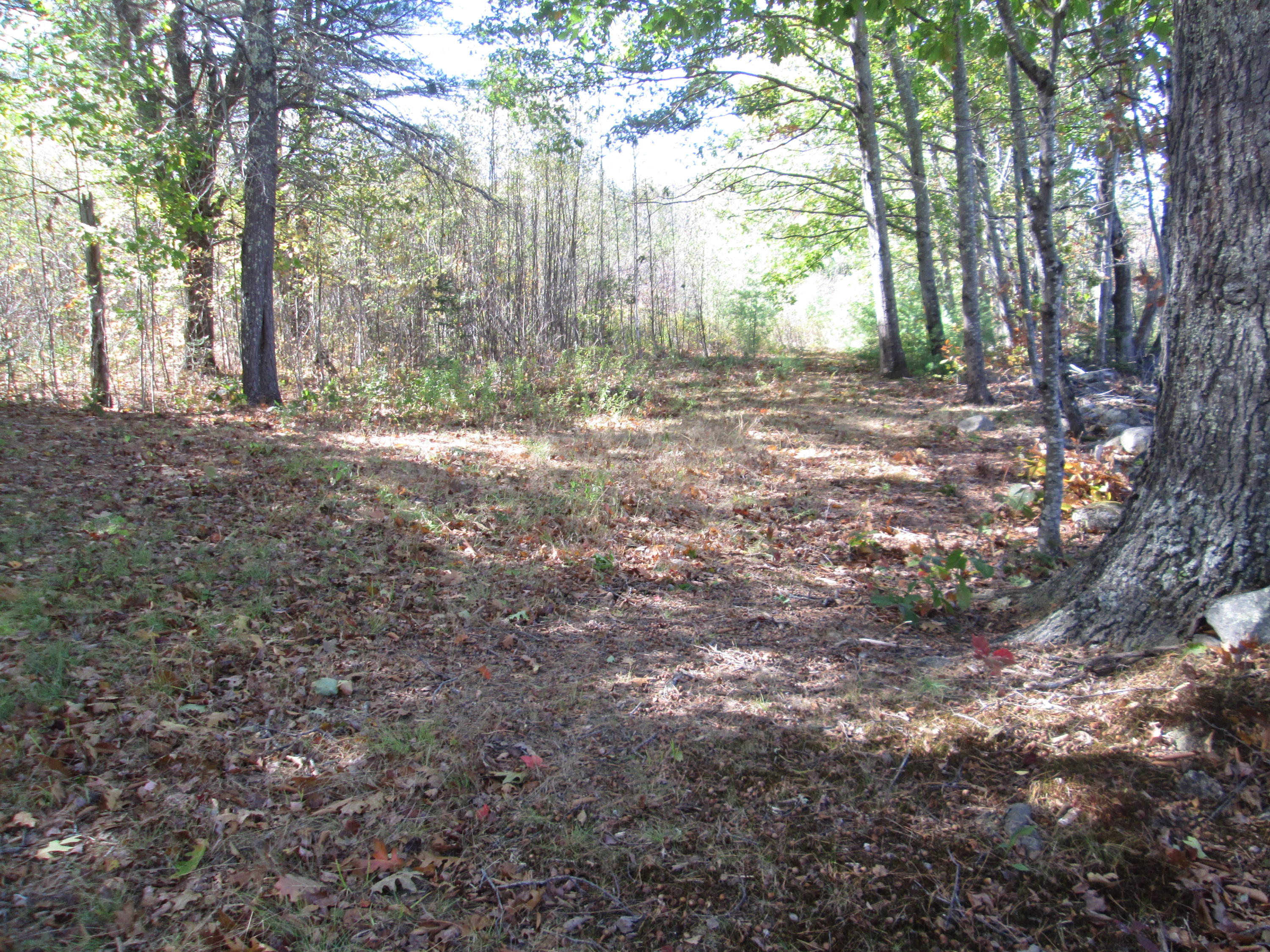 0 North Taylor Road Mount Vernon, ME 04352 - Photo 1 of 2 IMG_2692