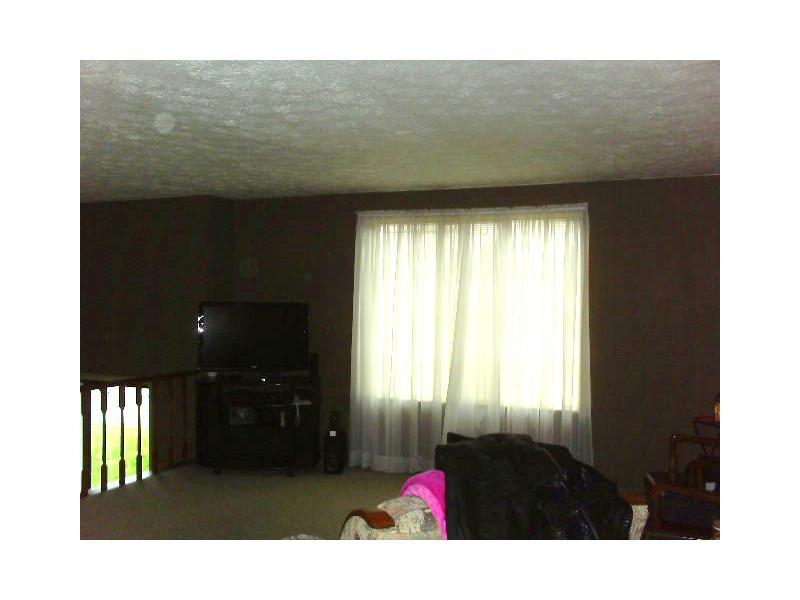 116 Hoy Street Rices Landing, PA 15357 - Photo 3 of 11 Living Room.