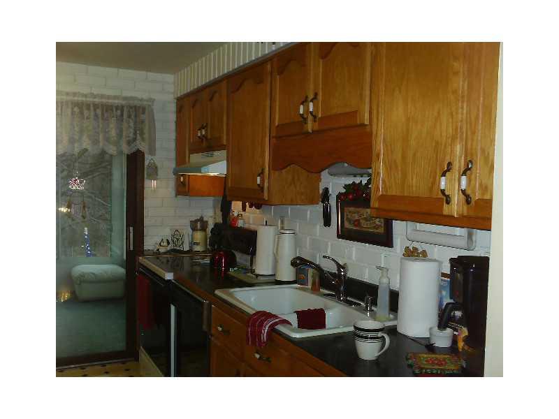 116 Hoy Street Rices Landing, PA 15357 - Photo 4 of 11 Kitchen.
