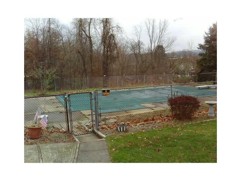 116 Hoy Street Rices Landing, PA 15357 - Photo 10 of 11 Swimming Pool/Hot Tub/Sauna.