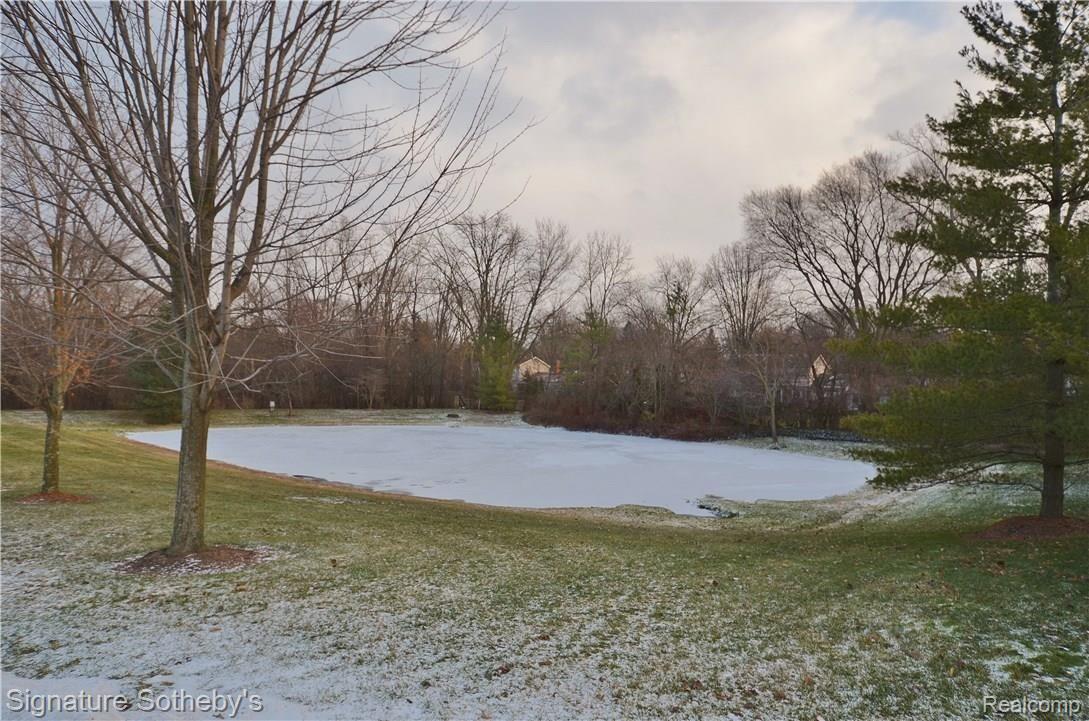 860 Palms Road Bloomfield Hills, MI 48304 - Photo 43 of 44 38 Pond.JPG