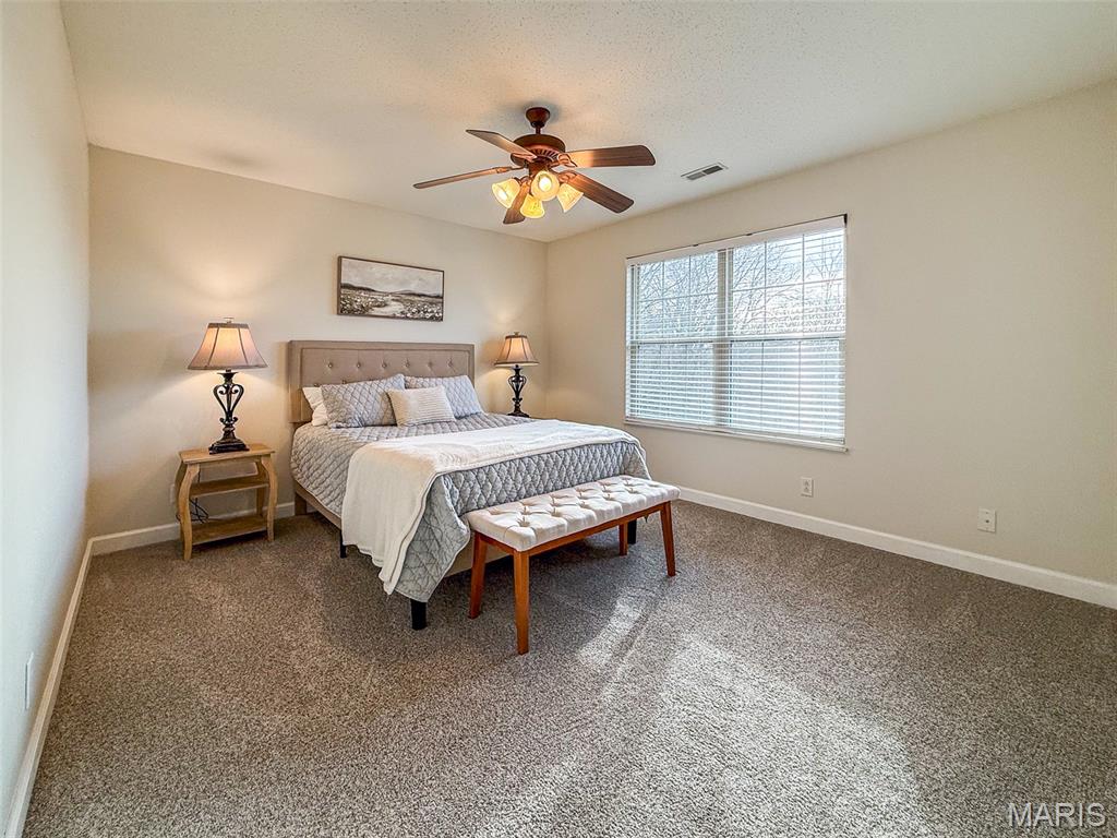 1155 Red Hawk Ridge Lane O'Fallon, IL 62269 - Photo 21 of 38