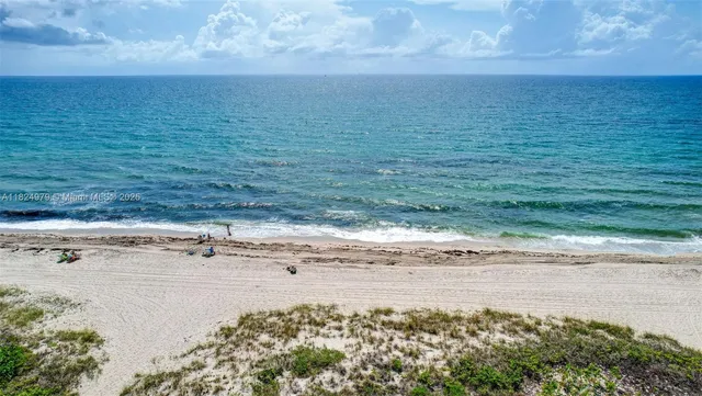 a view of a potted plant in front of building