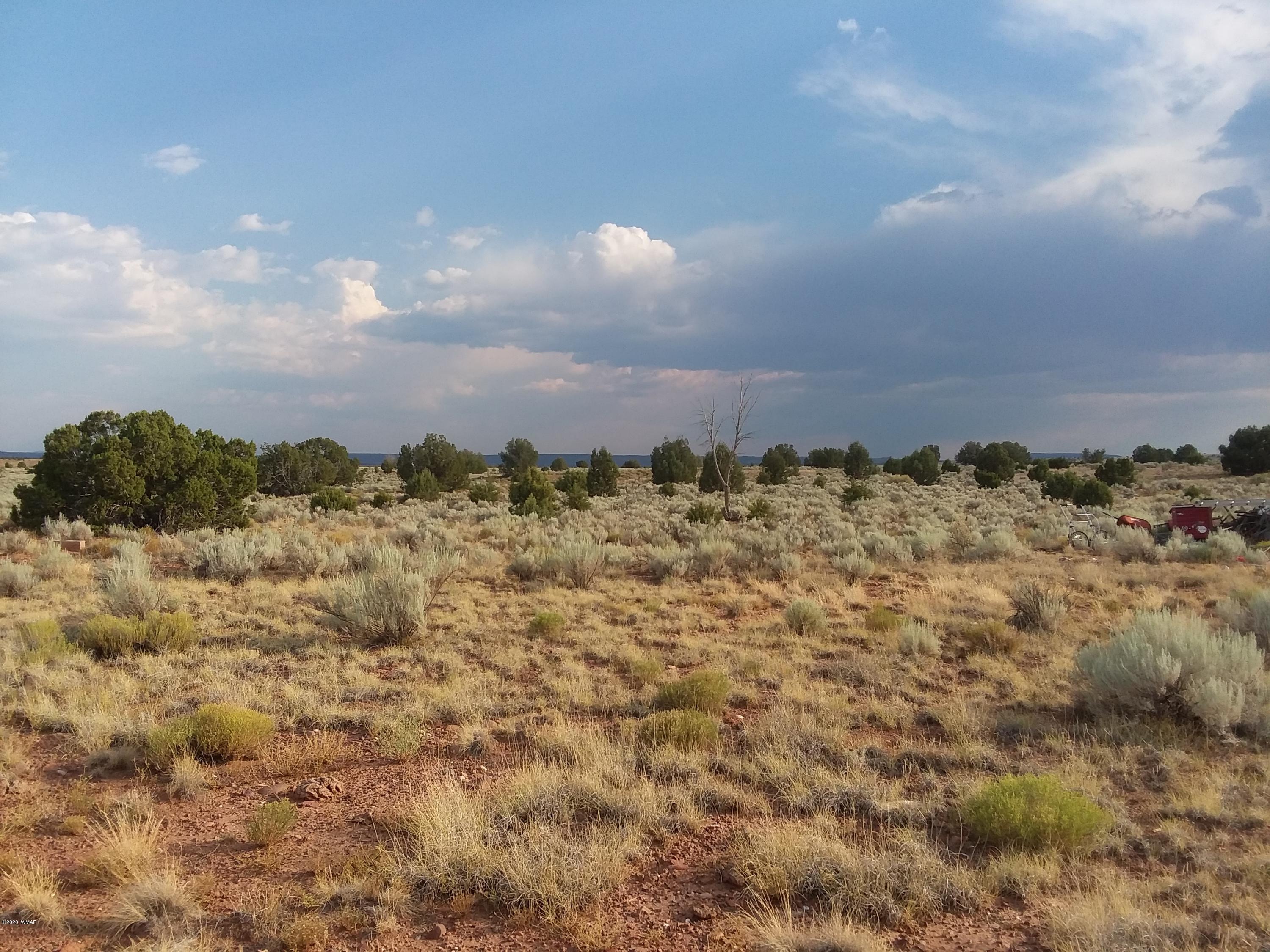 Lot 361 Woodridge Ranch, Unit 9 Concho, AZ 85924 - Photo 11 of 22 a view of mountain with sunset