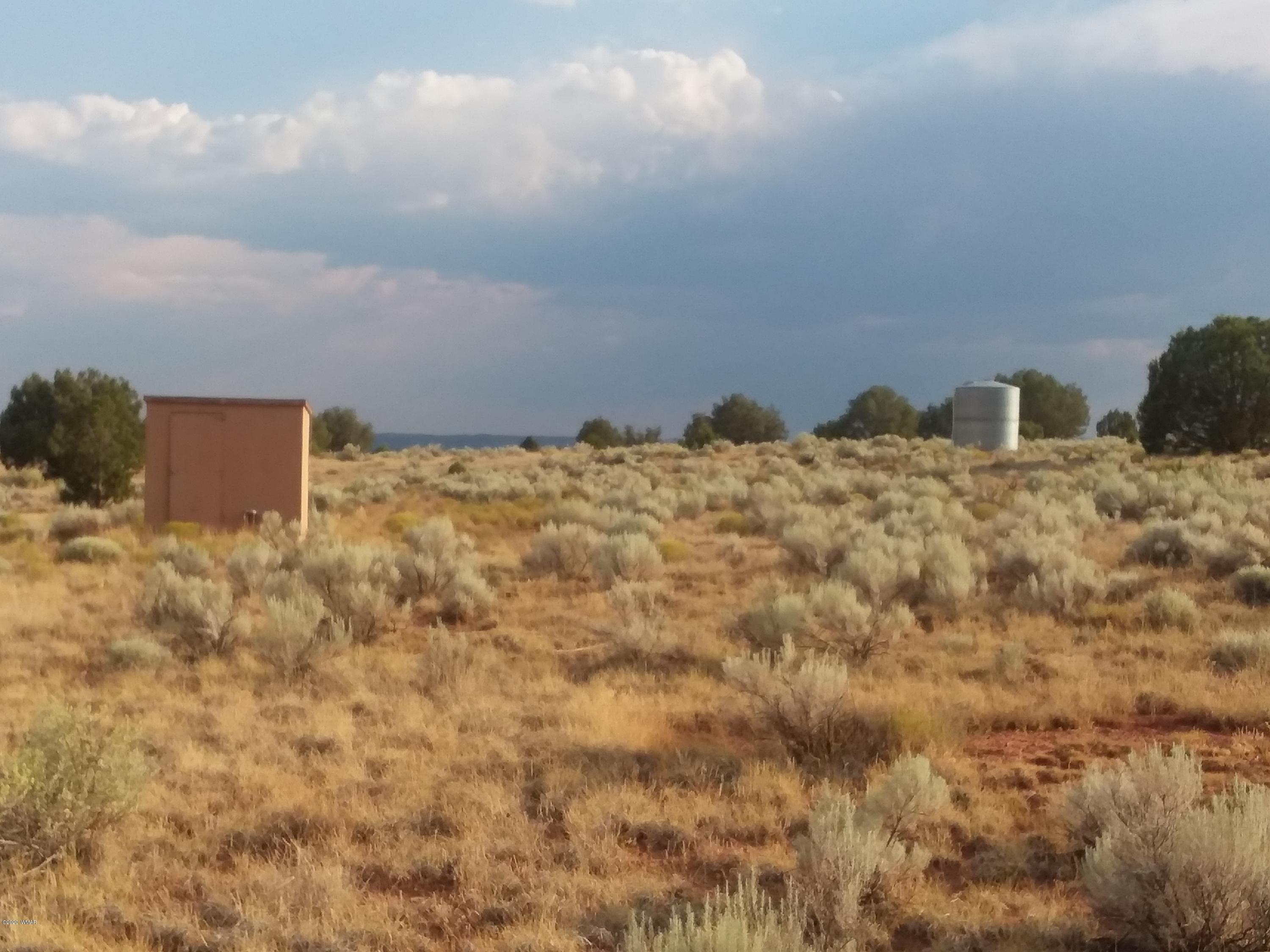 Lot 361 Woodridge Ranch, Unit 9 Concho, AZ 85924 - Photo 12 of 22 a bed room with a snow on the wall