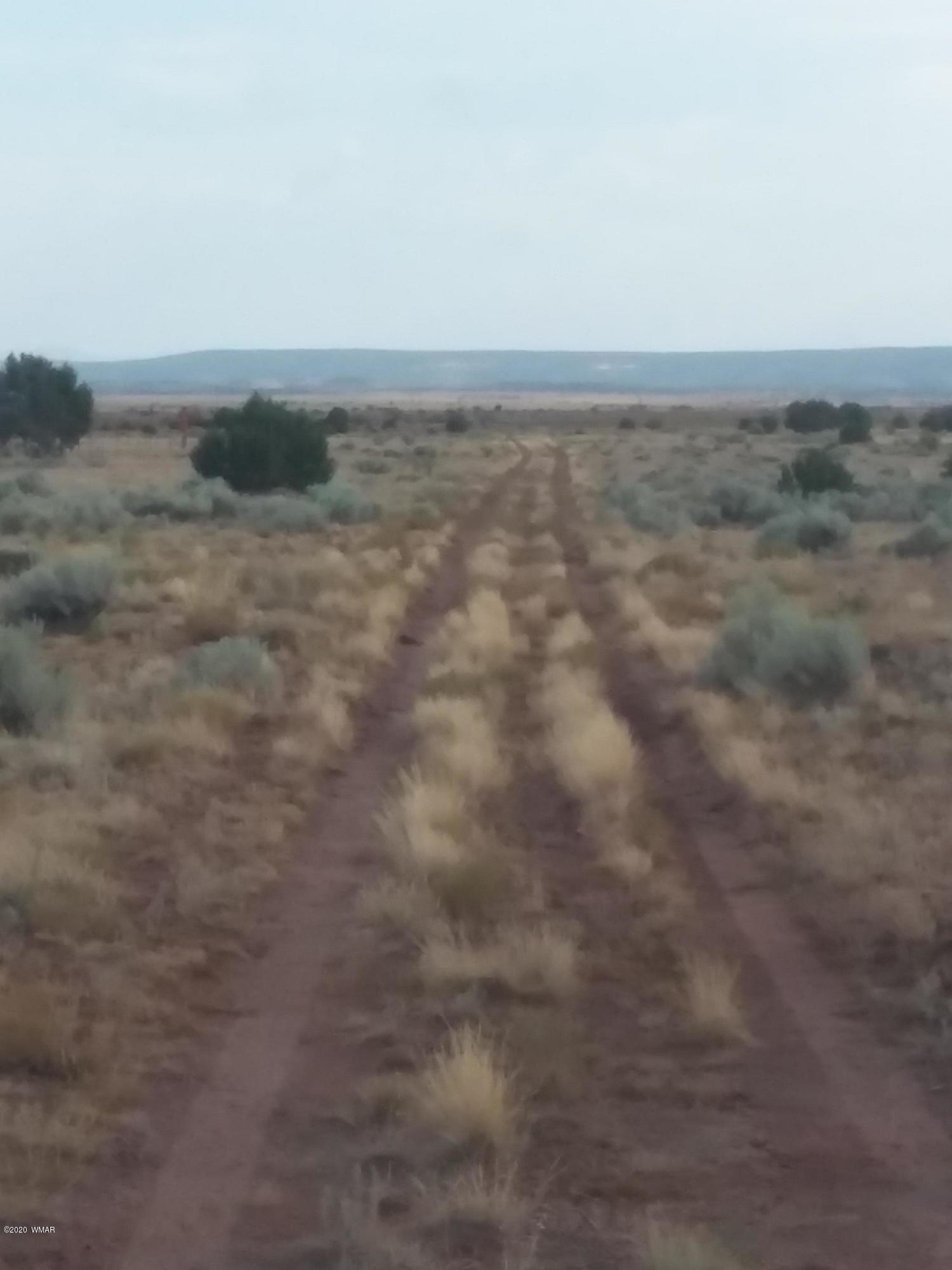 Lot 361 Woodridge Ranch, Unit 9 Concho, AZ 85924 - Photo 21 of 22
