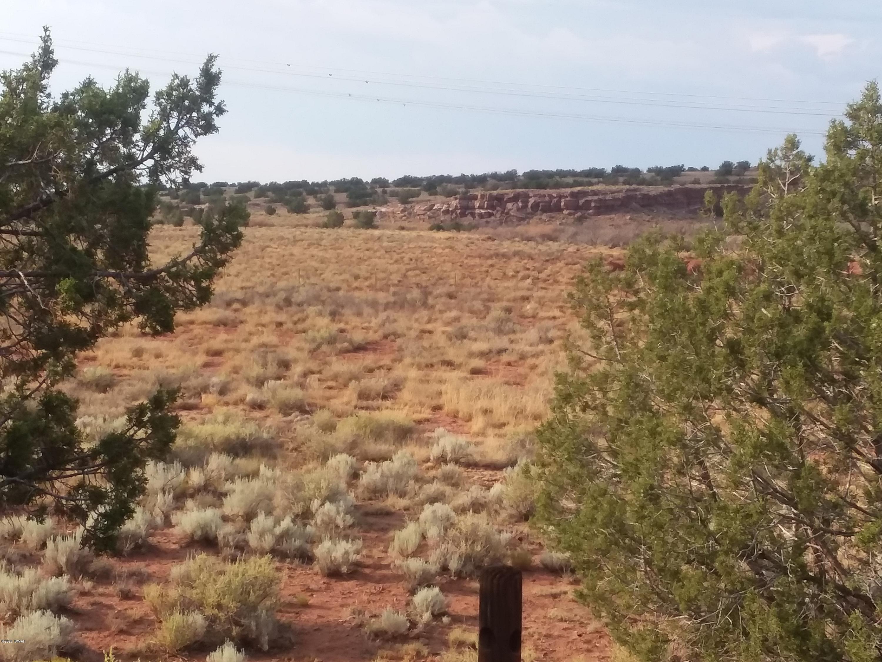 Lot 361 Woodridge Ranch, Unit 9 Concho, AZ 85924 - Photo 9 of 22 a view of a lake with a city