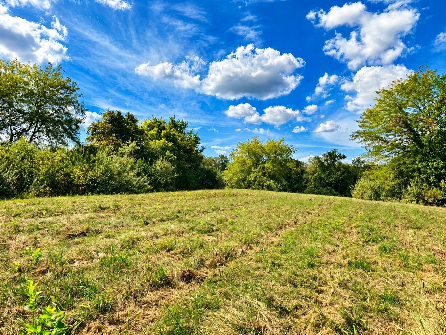 3735 State Rd AA Holts Summit, MO 65043 - Photo 22 of 57 Gallery Image 22