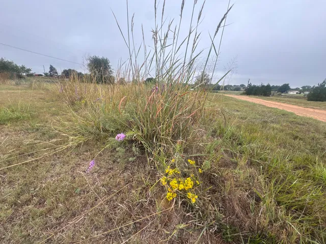 $2,500 | Lot 240 Memphis, Howardwick, TX 79226