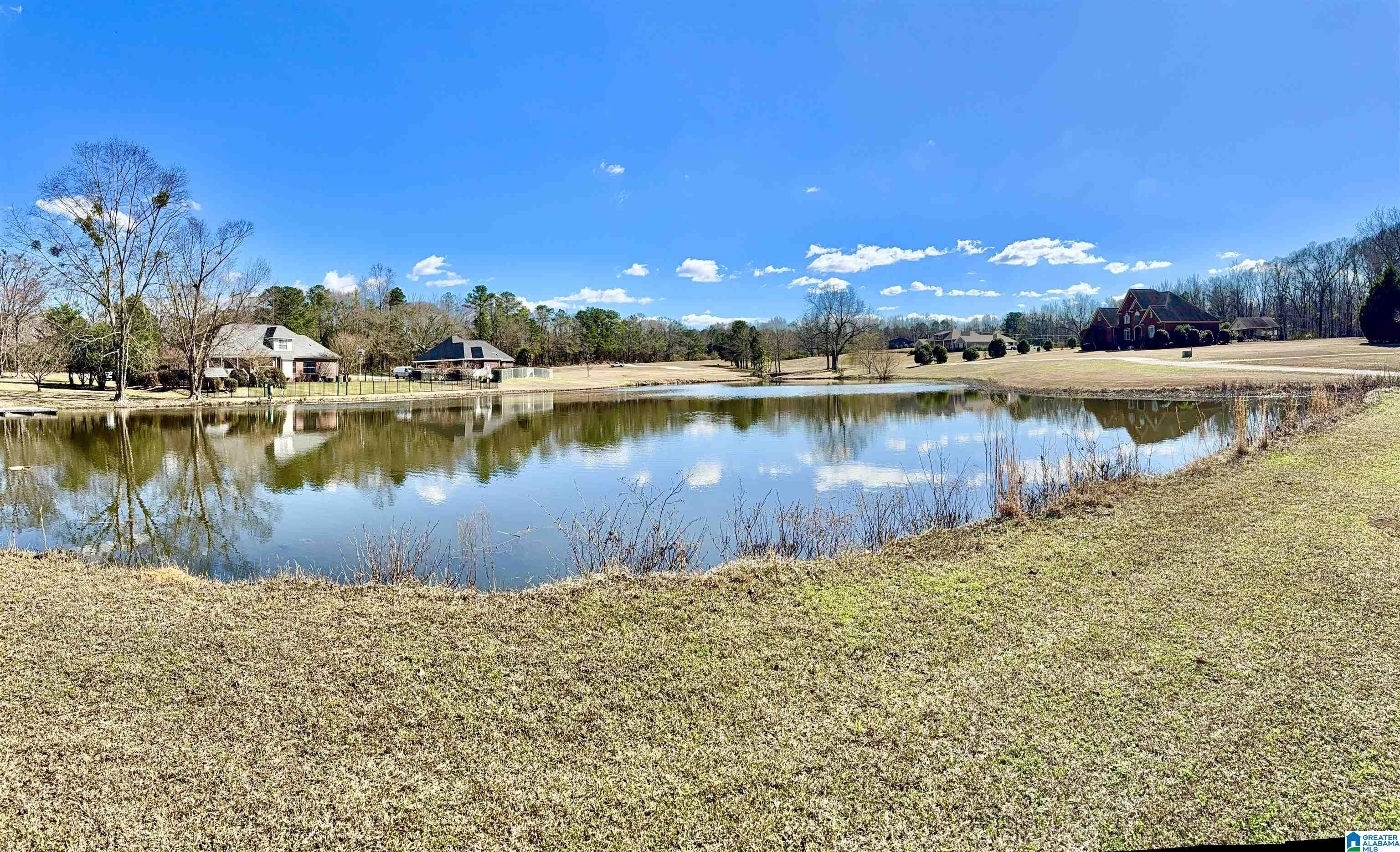 2015 County Road 18 Clanton, AL 35045 - Photo 15 of 17