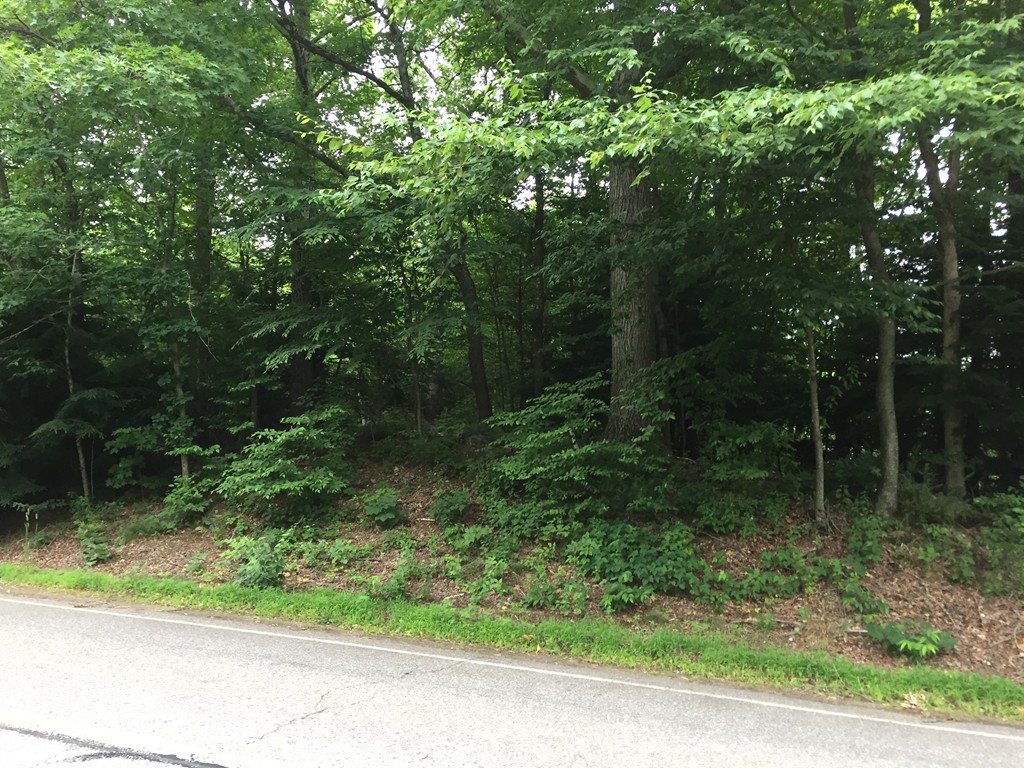 Lot 4 Southbridge Road West Brookfield, MA 01585 - Photo 1 of 1 Gallery Image 1