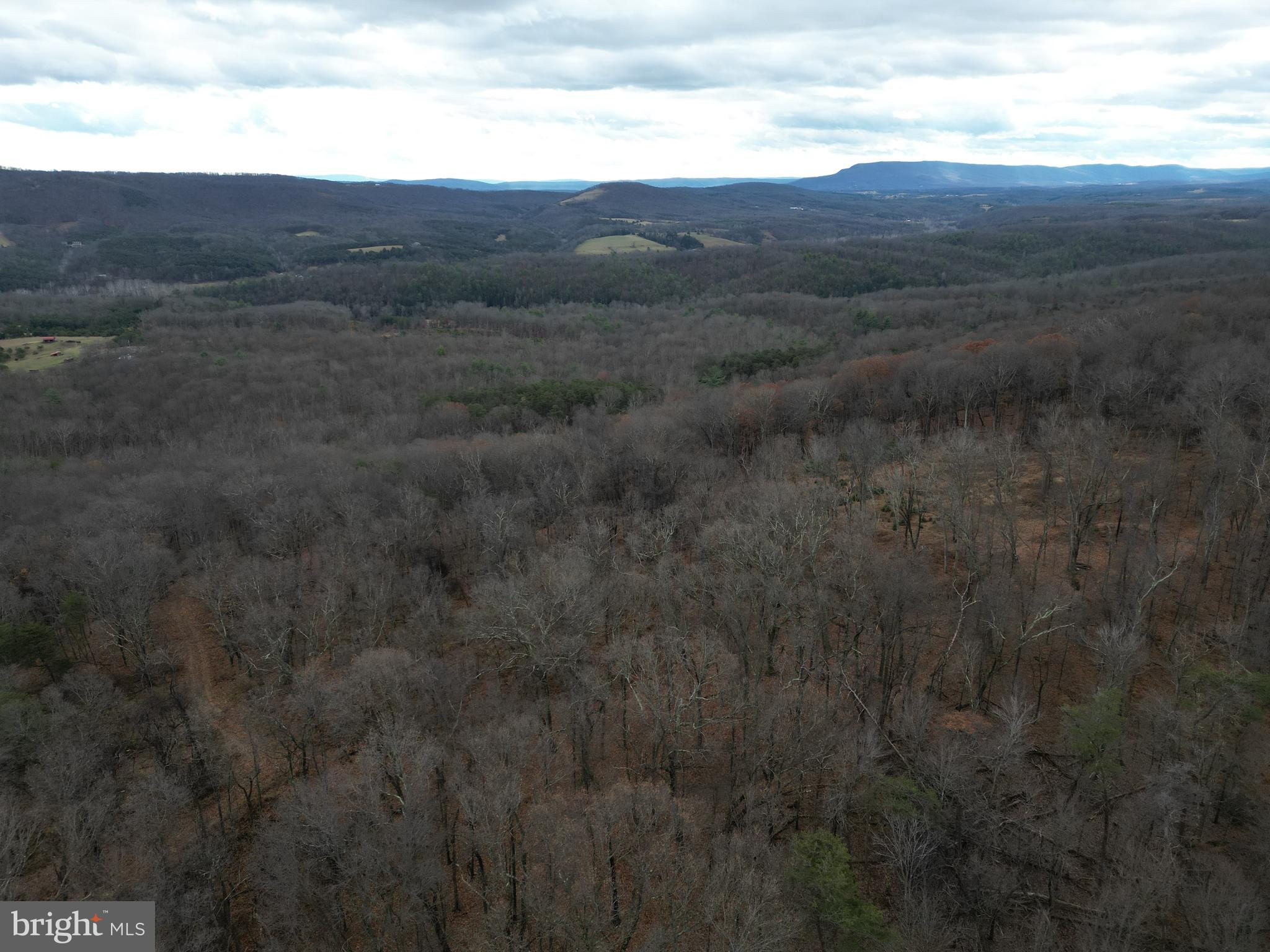 Lot 70-71 Mill Mountain Road Romney, WV 26757 - Photo 48 of 52