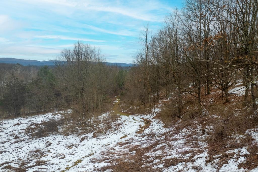 399 Hulett Hill Road Benson, VT 05743 - Photo 54 of 58