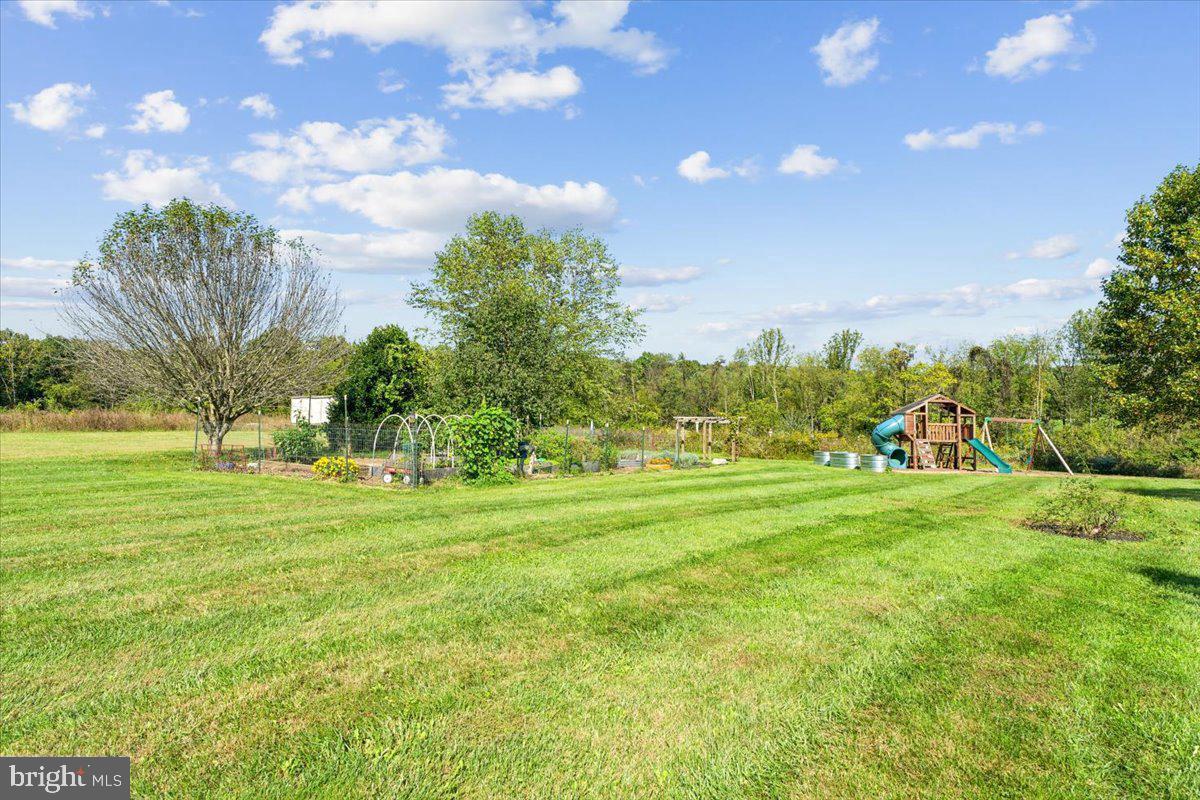 5340 Old Middletown Road Jefferson, MD 21755 - Photo 49 of 55 a big yard with lots of green space and plants