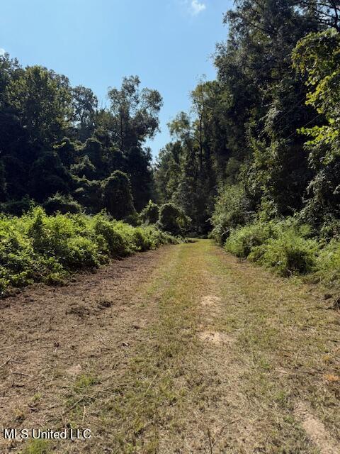 Davie Lane Roxie, MS 39661 - Photo 9 of 13 IMG_3996