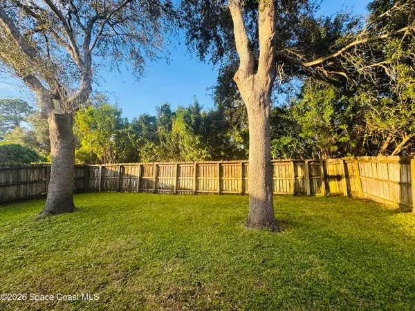 a view of a yard with trees