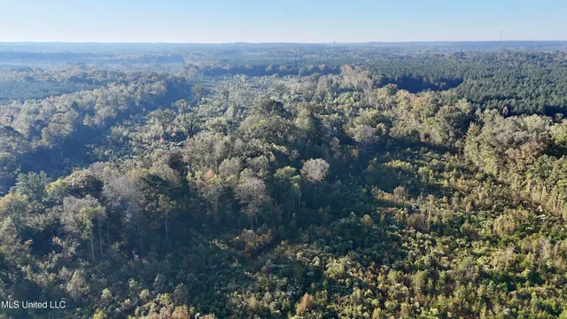 $145,000 | 15 Hwy Union, Union, MS 39365