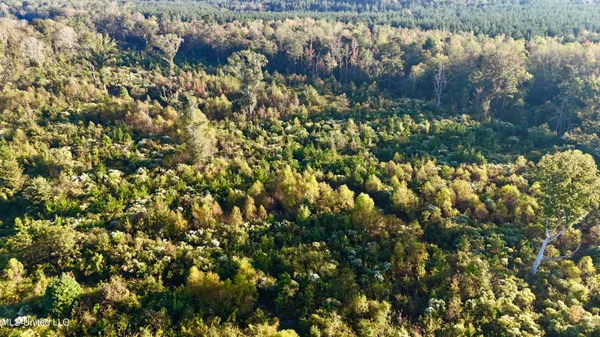 $145,000 | 15 Hwy Union, Union, MS 39365