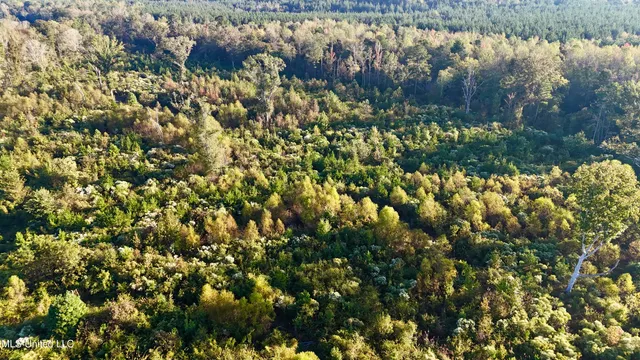 $145,000 | 15 Hwy Union, Union, MS 39365