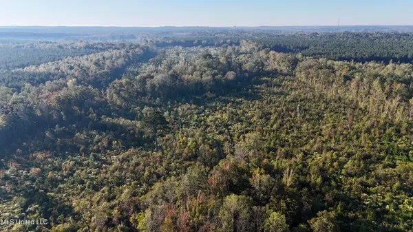 $145,000 | 15 Hwy Union, Union, MS 39365